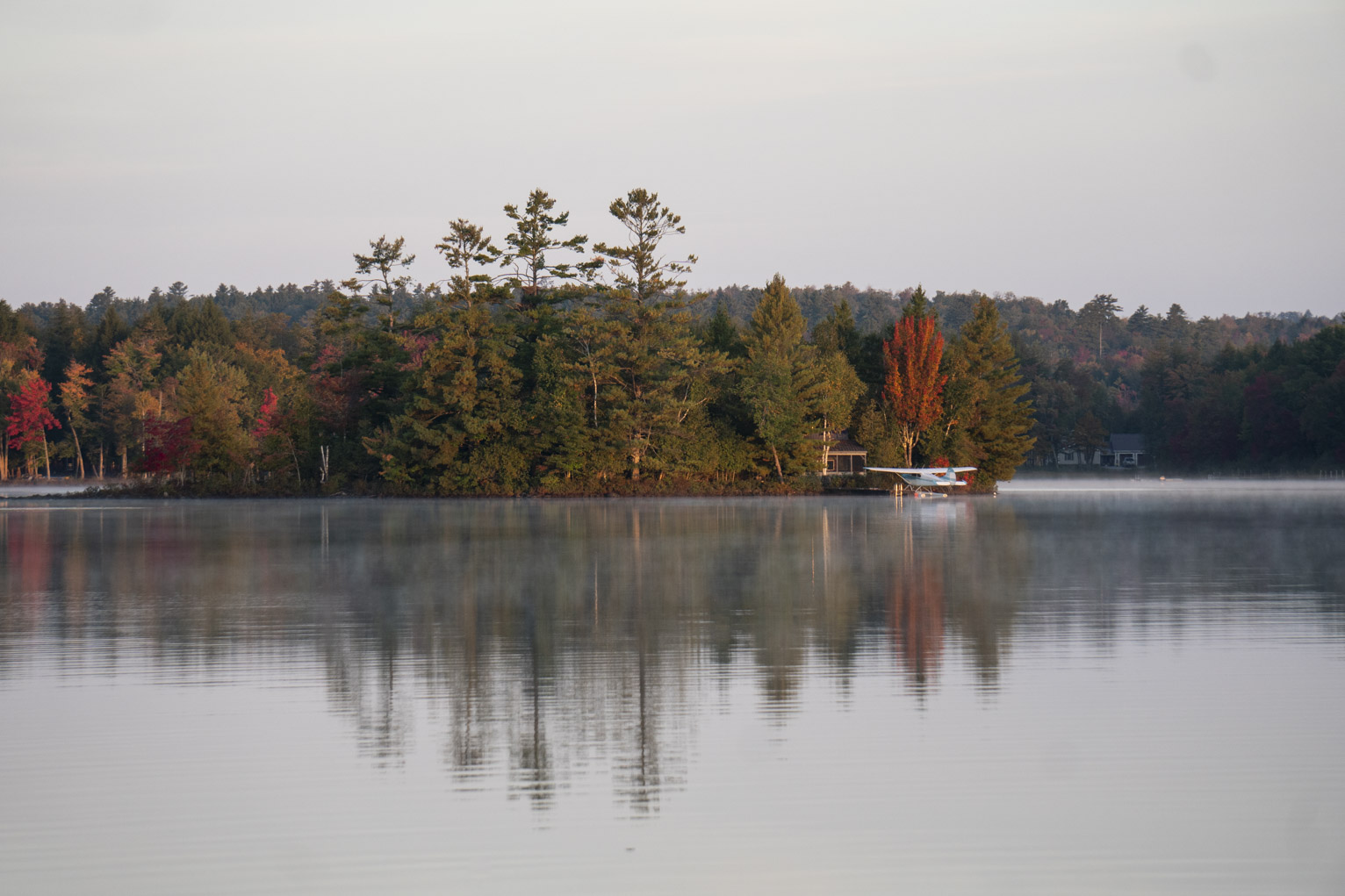 A sea plane is parked at the island with the tall pines